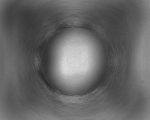 X0000054390040200508121644