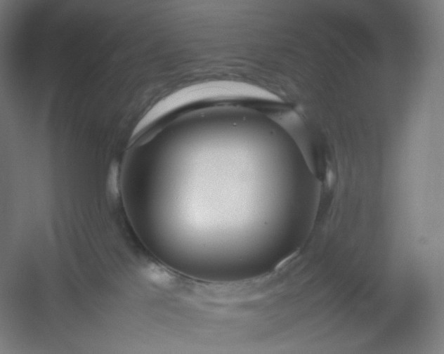 X0000054390041200508121644