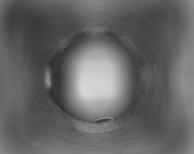 X0000054390042200508121644