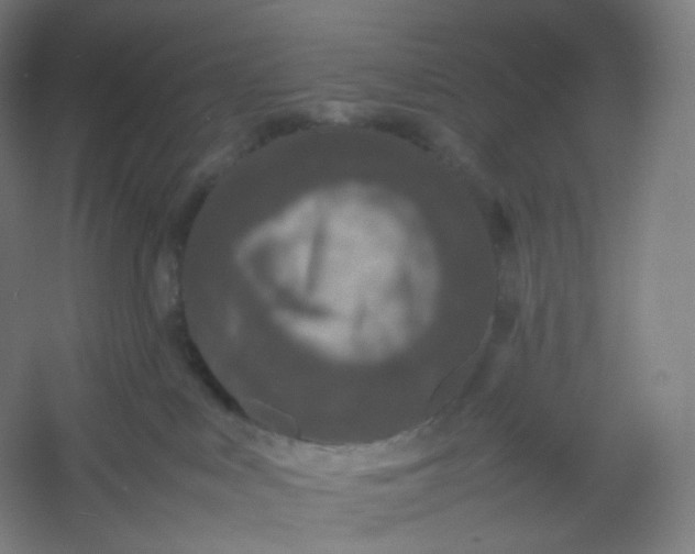 X0000054390043200508121644