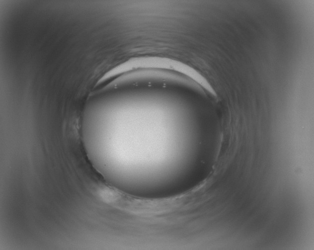 X0000054390045200508121644