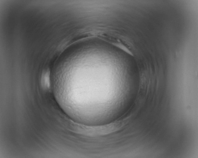 X0000054390046200508121644