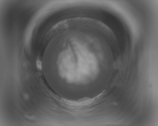 X0000054390047200508121644