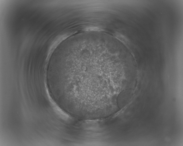 X0000054390049200508121643