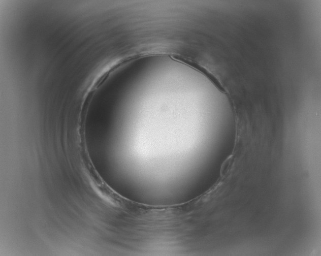 X0000054390050200508121643