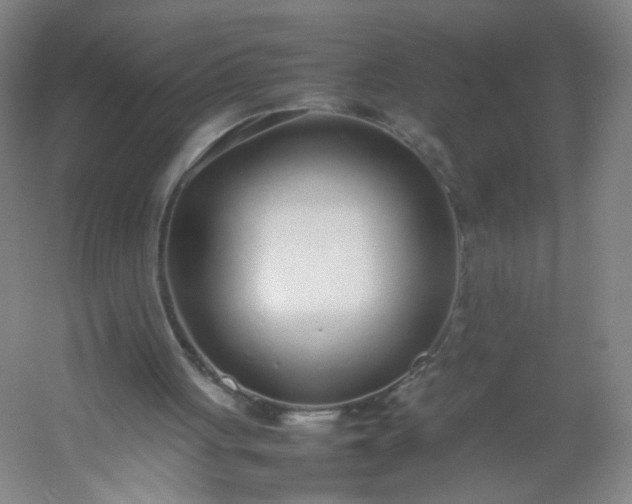 X0000054390051200508121643