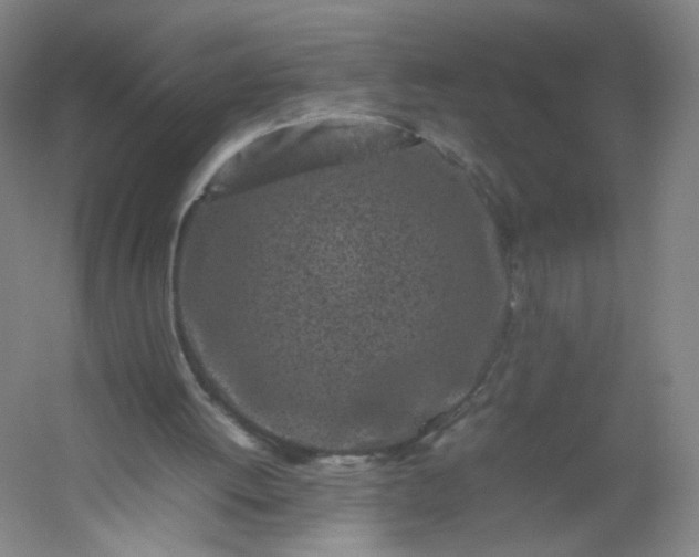 X0000054390052200508121643