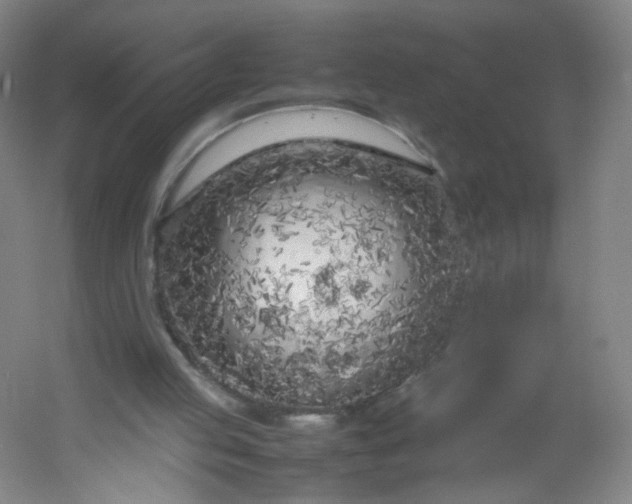 X0000054390053200508121643