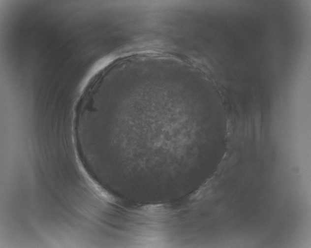 X0000054390054200508121643