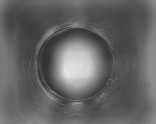 X0000054390055200508121643