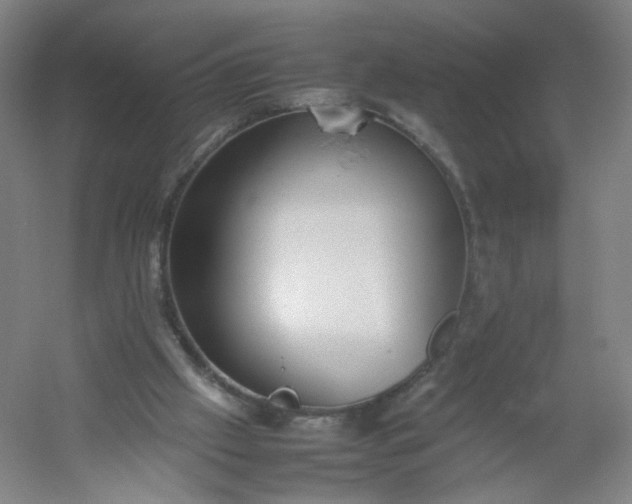 X0000054390057200508121643