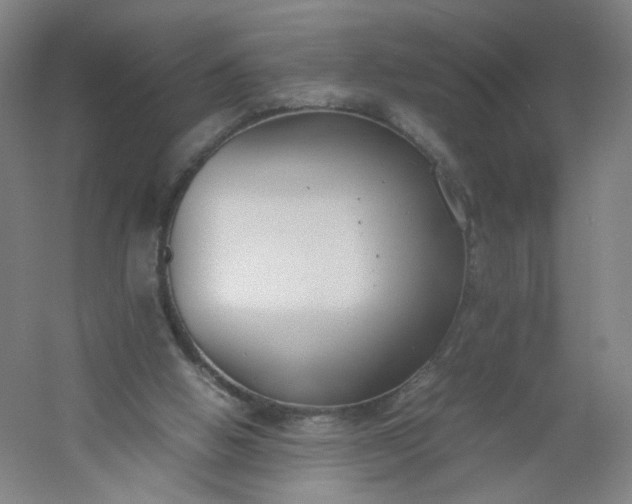 X0000054390058200508121643