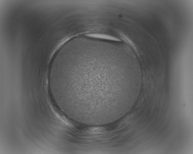 X0000054390059200508121643