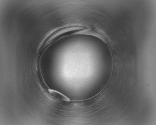 X0000054390060200508121643