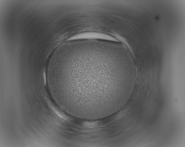 X0000054390061200508121643