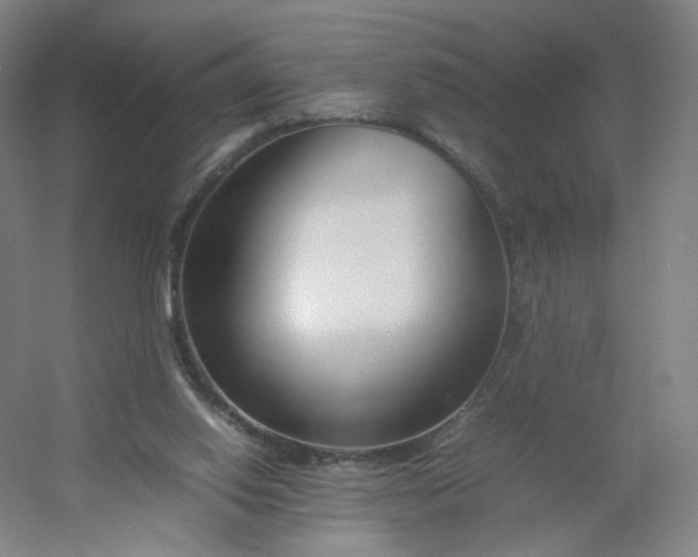 X0000054390062200508121643