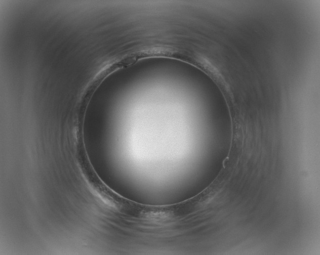 X0000054390063200508121643