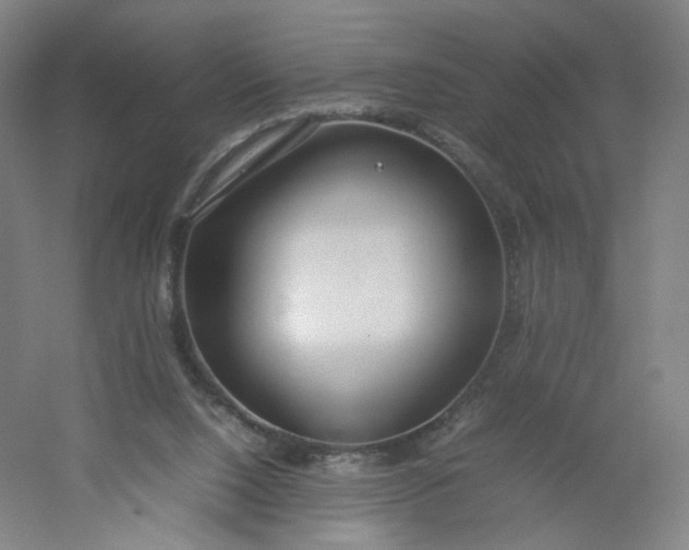 X0000054390064200508121643