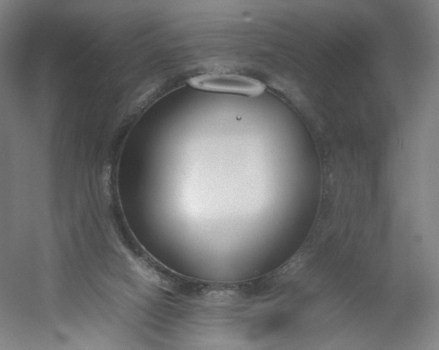 X0000054390066200508121644