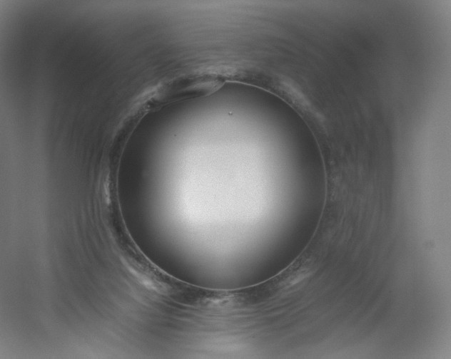 X0000054390068200508121644