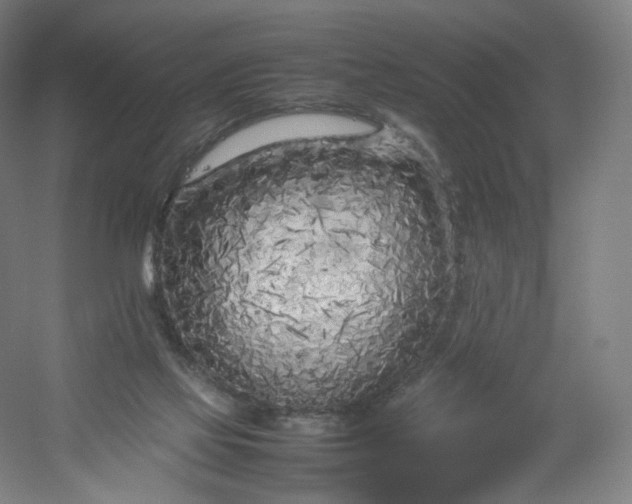 X0000054390069200508121644