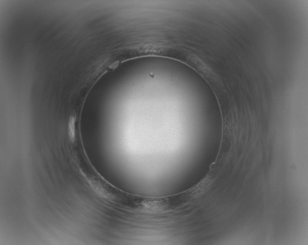 X0000054390070200508121644