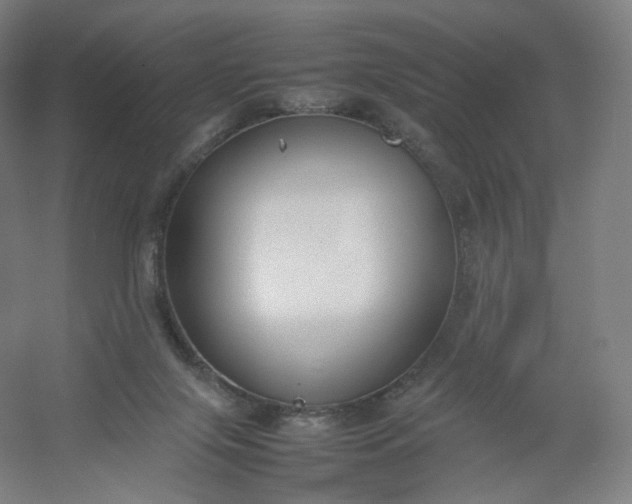 X0000054390071200508121644