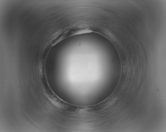 X0000054390072200508121644