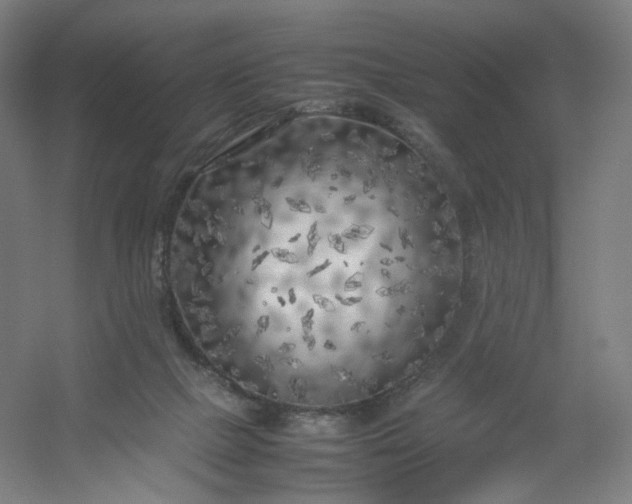 X0000054390073200508121644