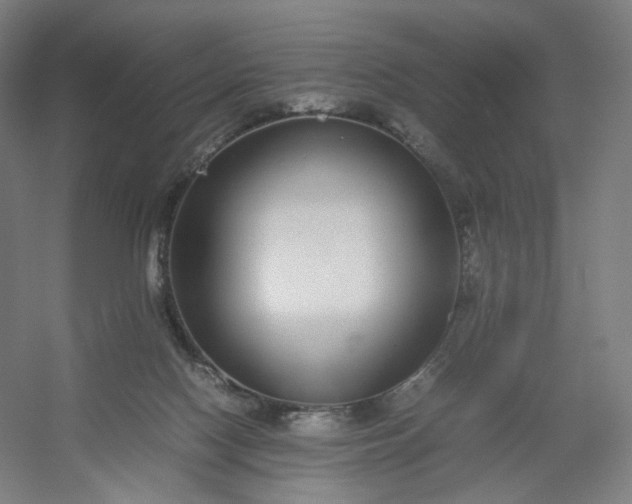 X0000054390074200508121644