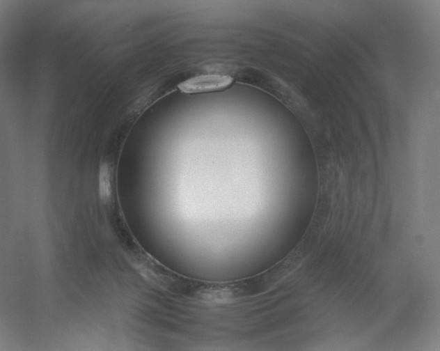 X0000054390075200508121644