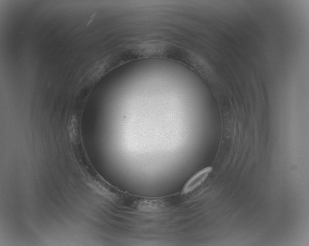 X0000054390077200508121644