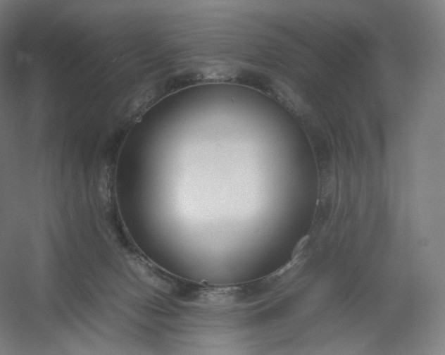 X0000054390078200508121644