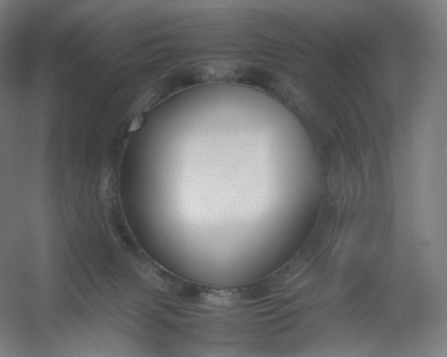 X0000054390079200508121644