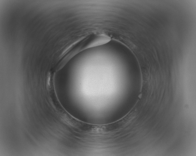 X0000054390080200508121644