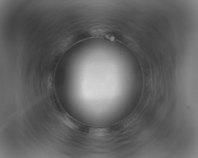 X0000054390081200508121644