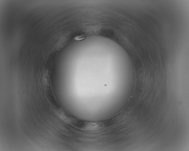 X0000054390083200508121644
