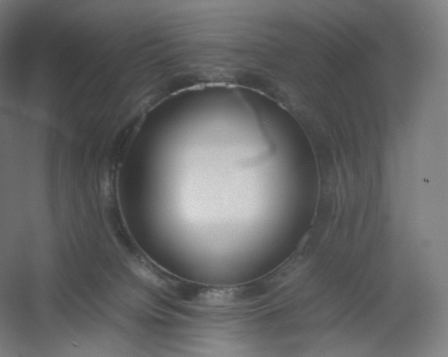 X0000054390084200508121644