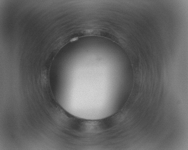 X0000054390085200508121644