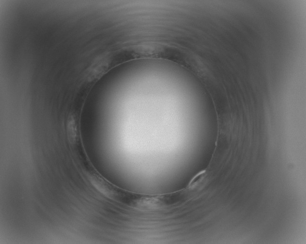 X0000054390086200508121644