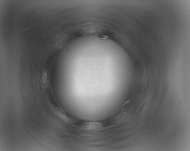 X0000054390087200508121644