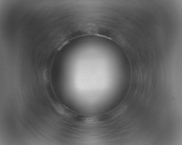 X0000054390088200508121644