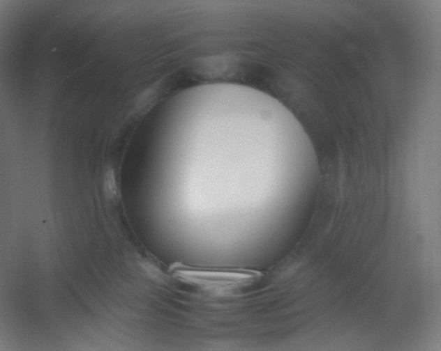 X0000054390089200508121644