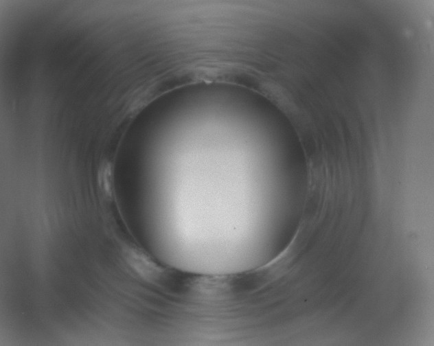 X0000054390094200508121644