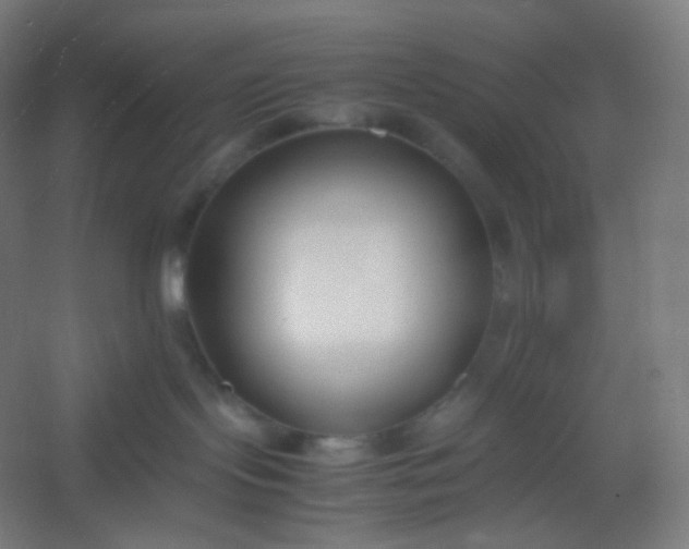 X0000054390095200508121644