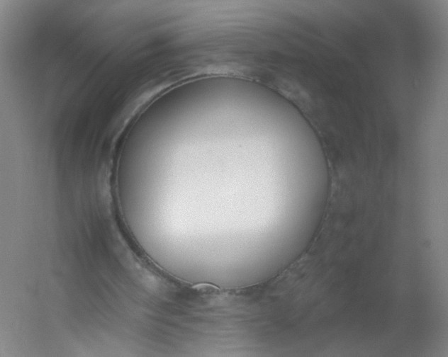 X0000054390098200508121643