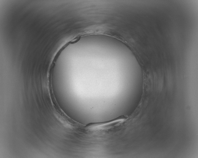 X0000054390100200508121643