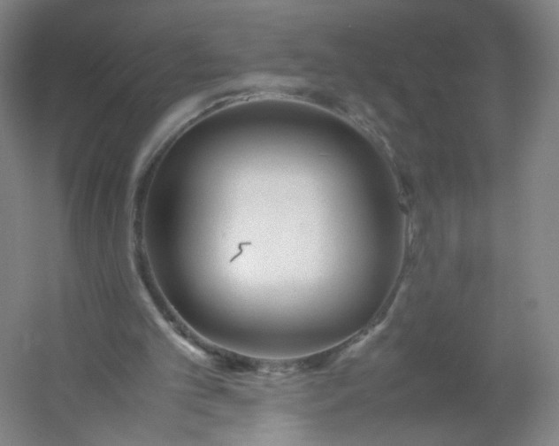 X0000054390101200508121643