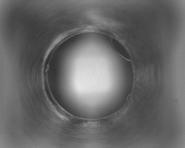 X0000054390102200508121643