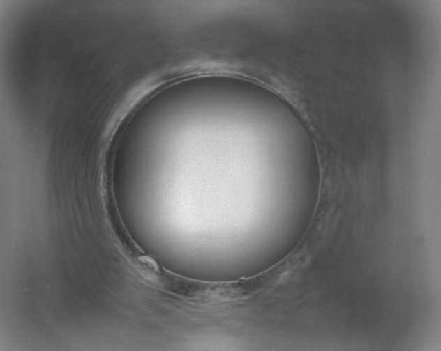 X0000054390103200508121643